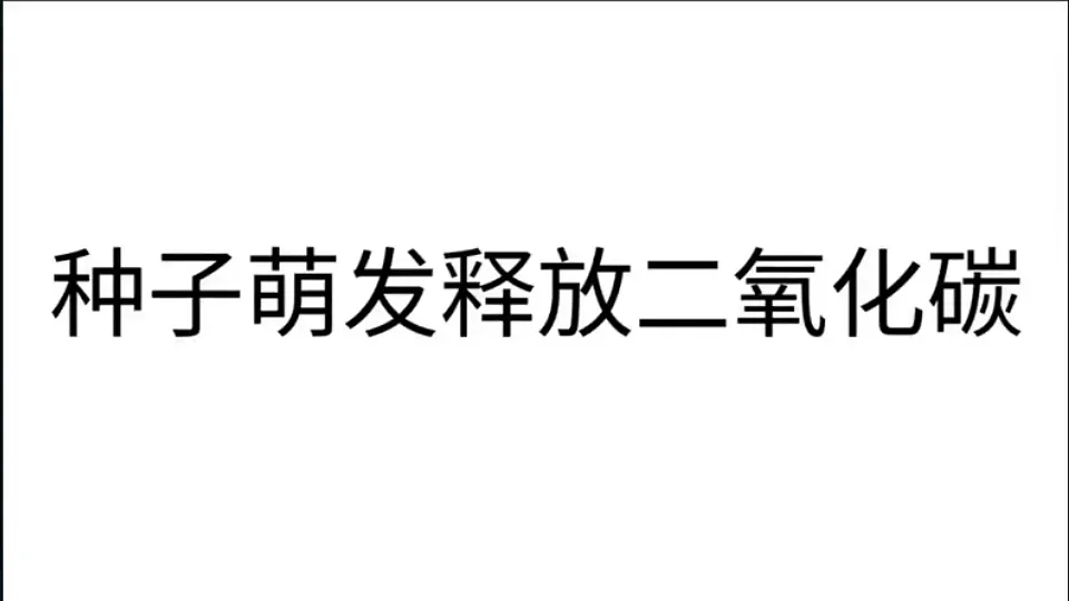 17818906第6页