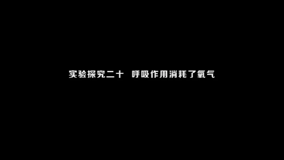 17818906第8页