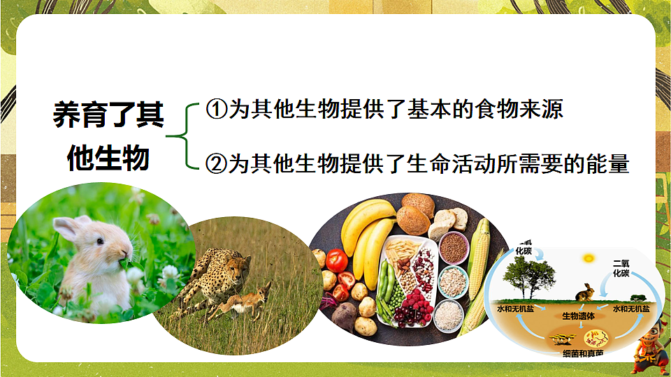 17818907第5页