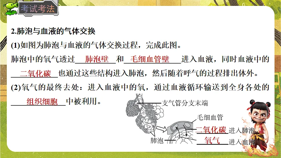 17818912第5页