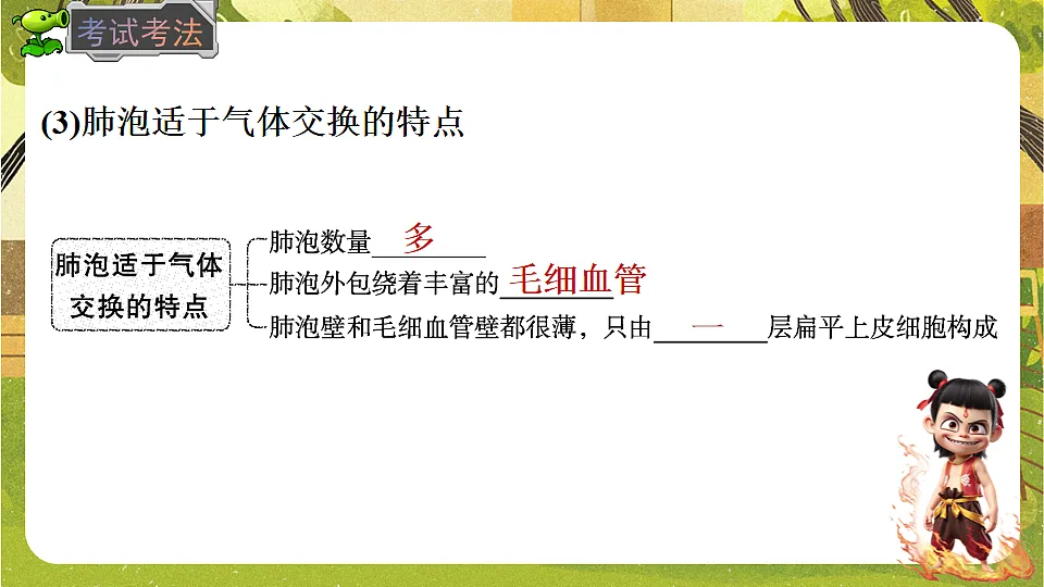 17818912第6页