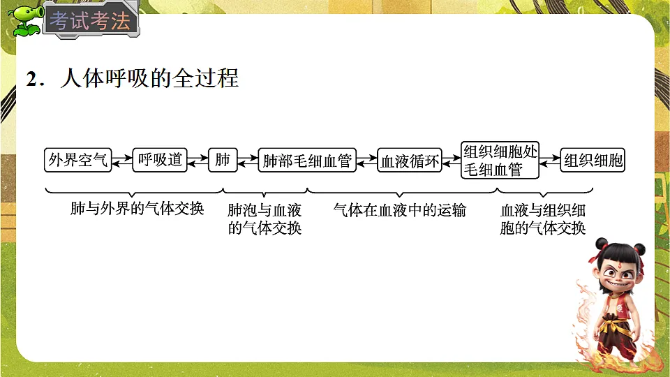 17818912第8页