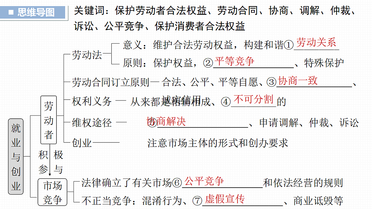17819488第3页