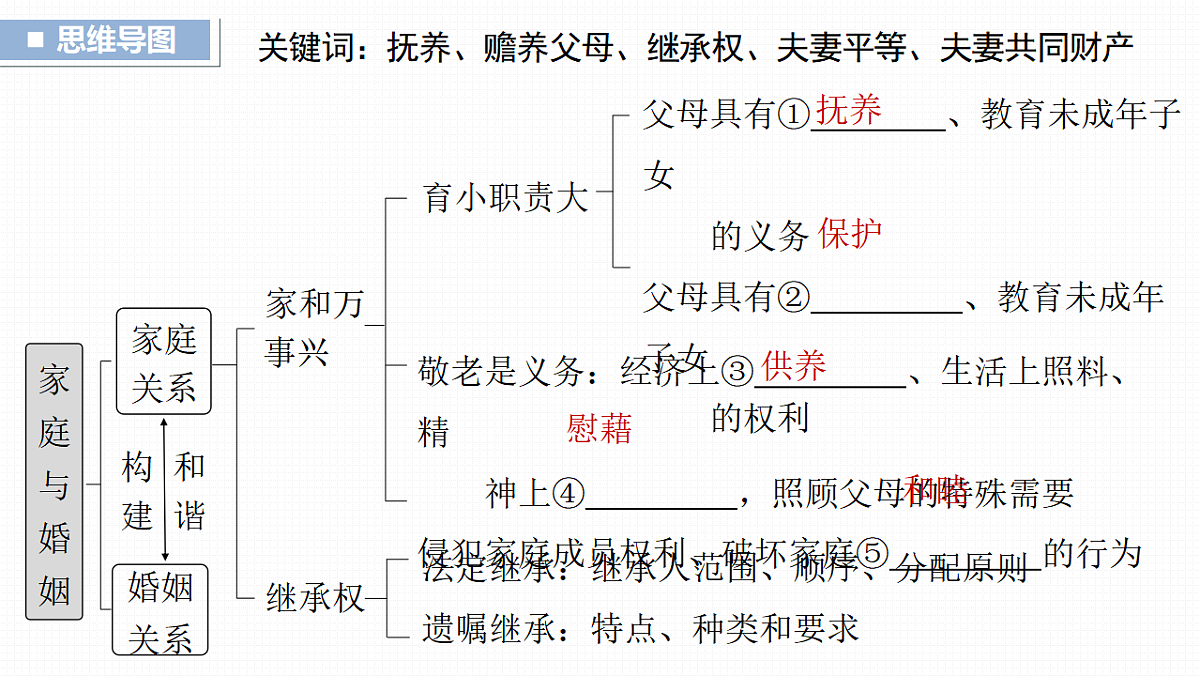 17819494第3页