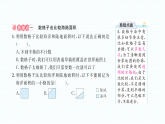 小学科学新教科版三年级下册第三单元易错点探究  作业课件（2026春）（放映显示答案）