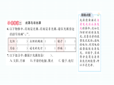 小学科学新教科版三年级下册第三单元易错点探究  作业课件（2026春）（放映显示答案）