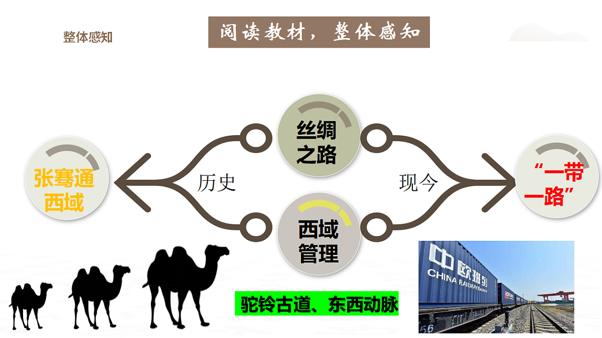 17819516第3页
