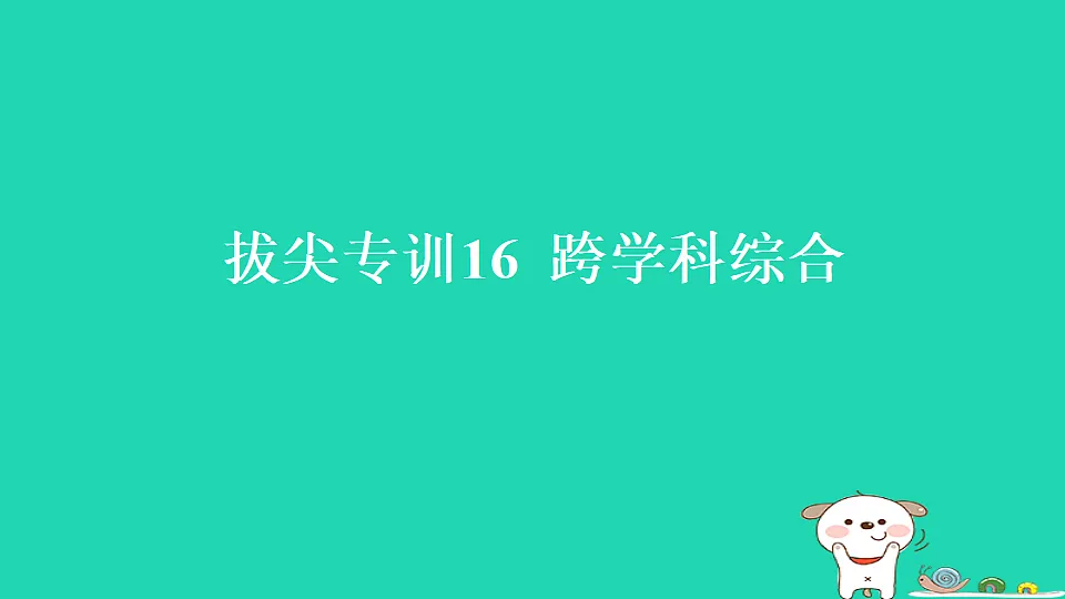 17819522第1页