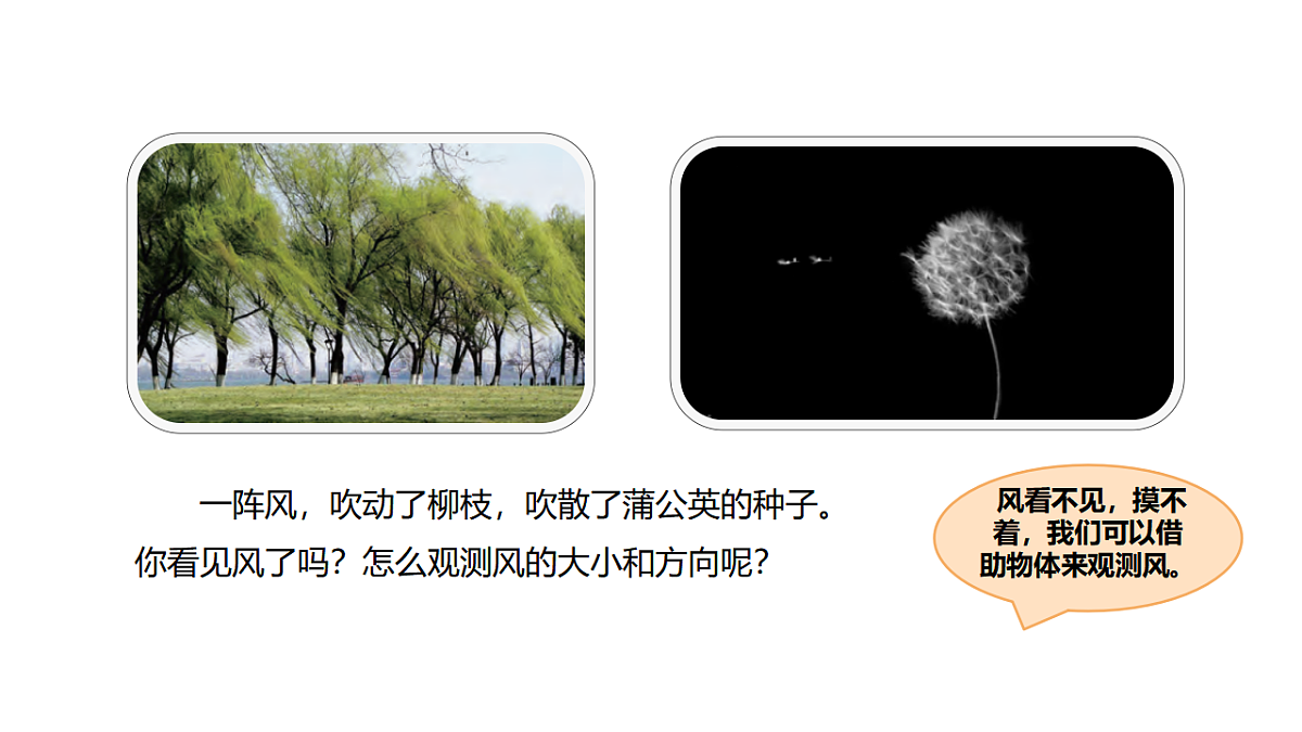 17819548第2页