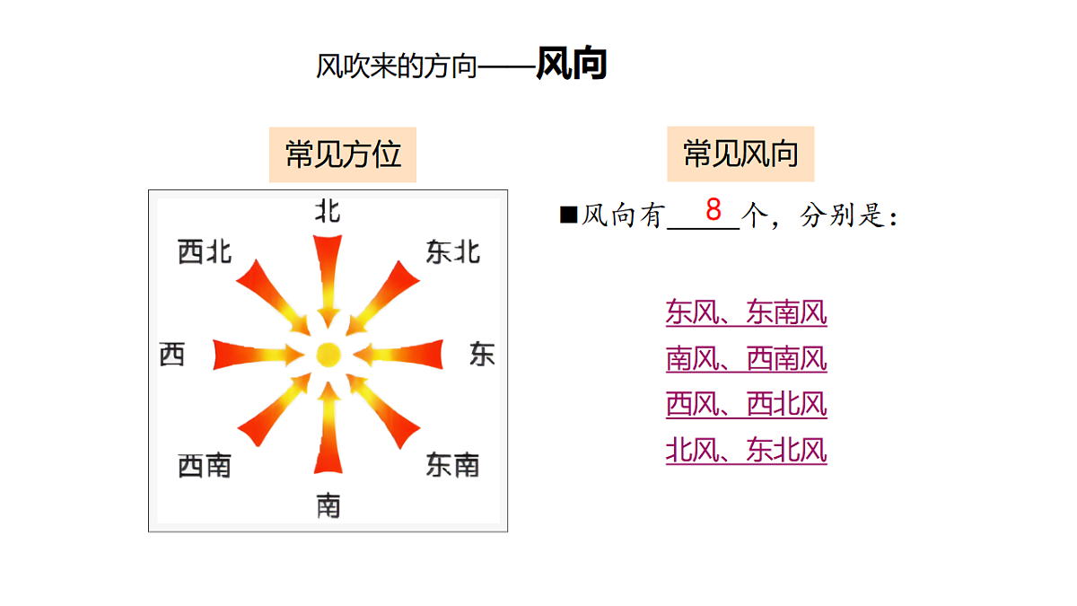 17819548第4页