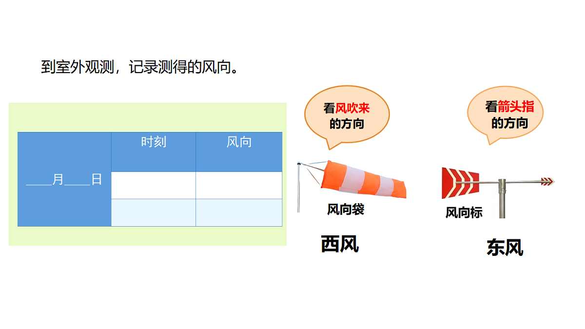 17819548第5页