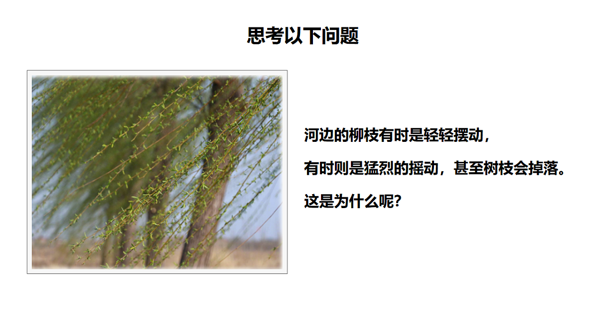 17819548第6页