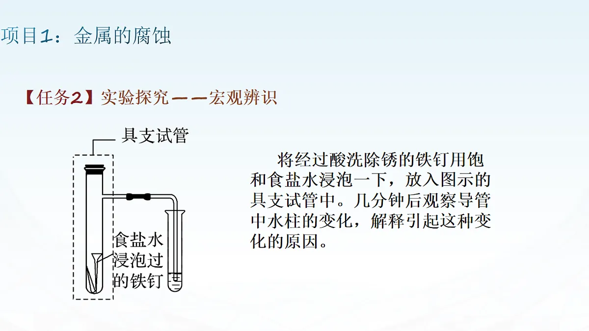 17819798第5页