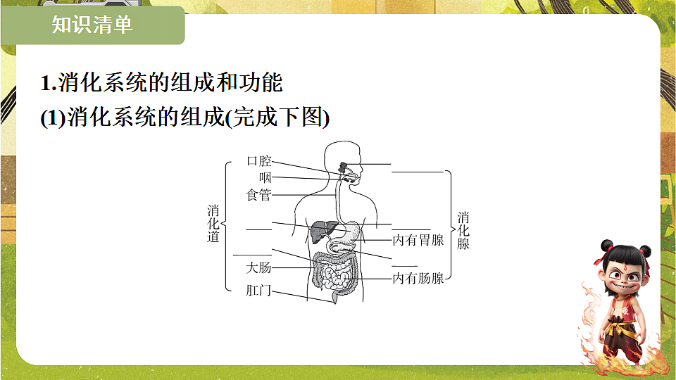 17819852第5页