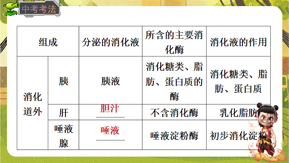 17819852第7页