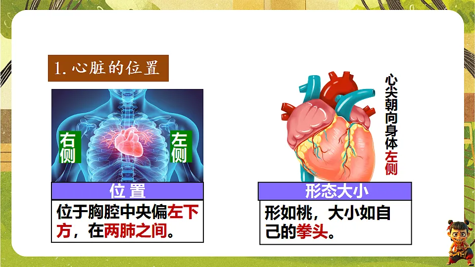 17819856第3页