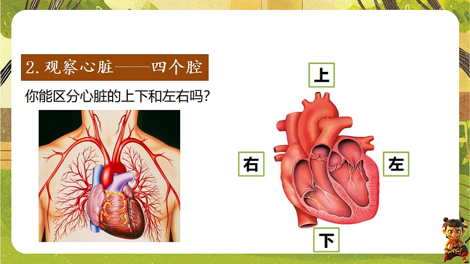17819856第4页
