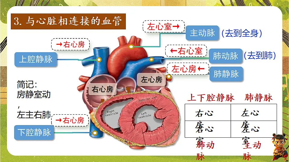 17819856第7页