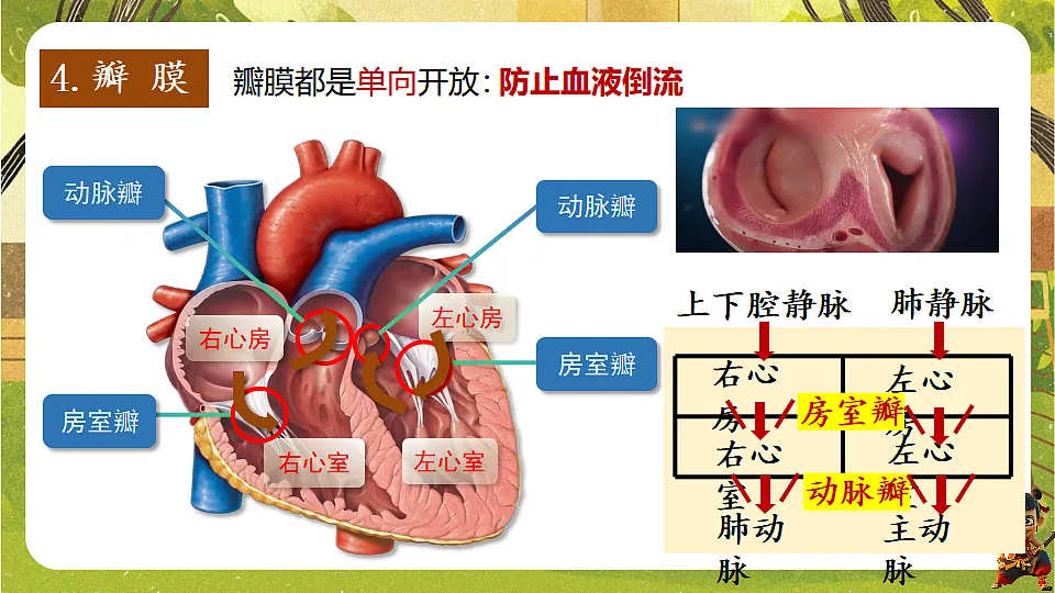 17819856第8页