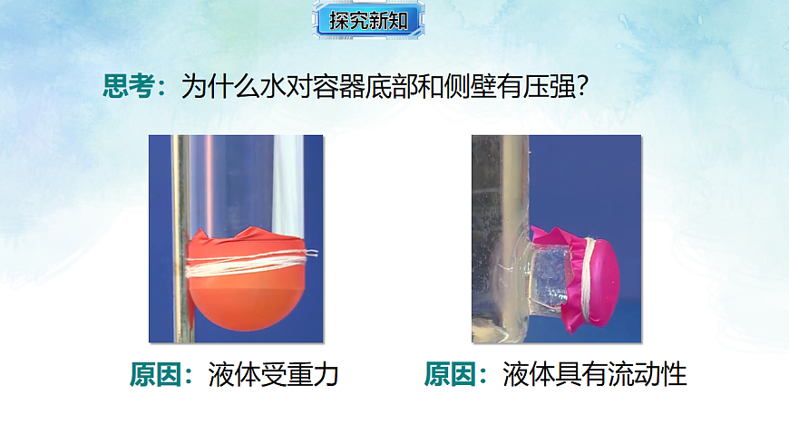 17820396第5页