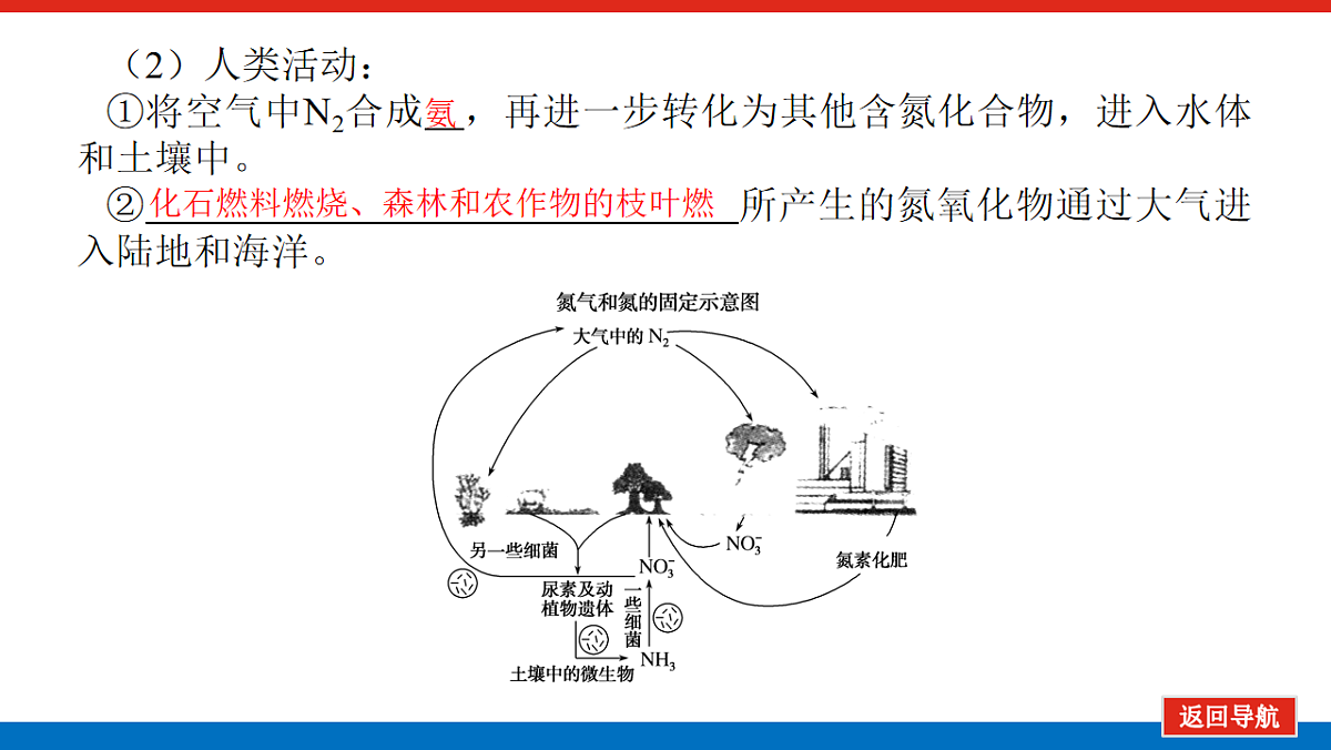 17822088第3页