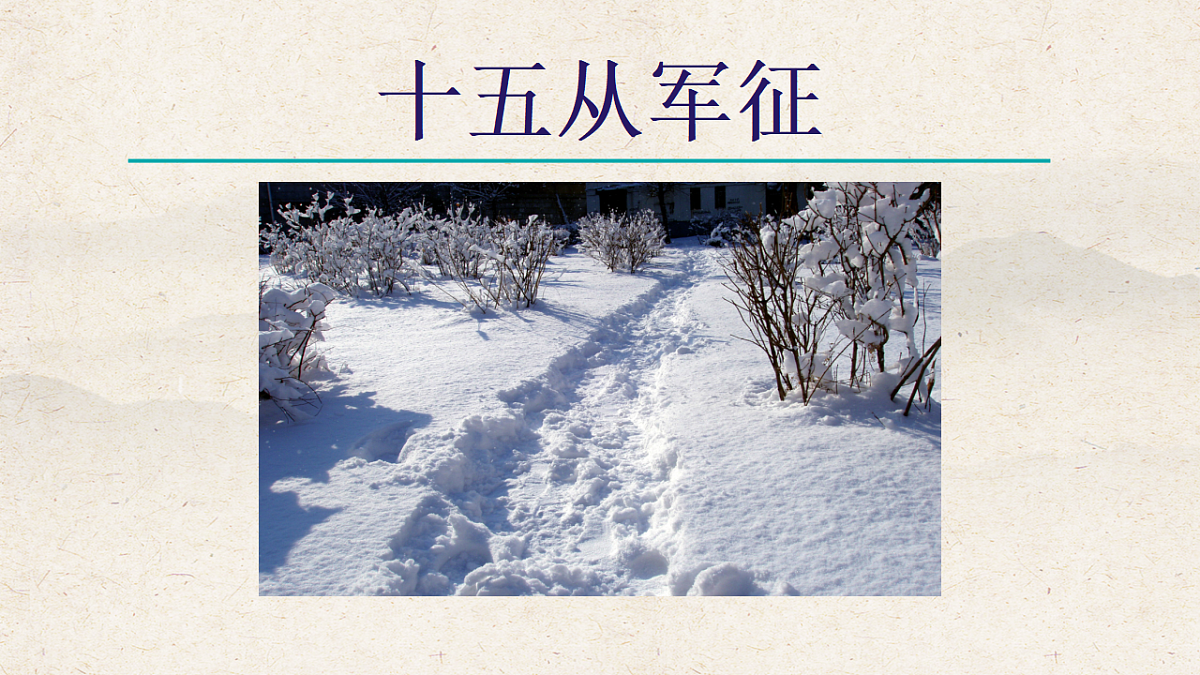 17823731第8页