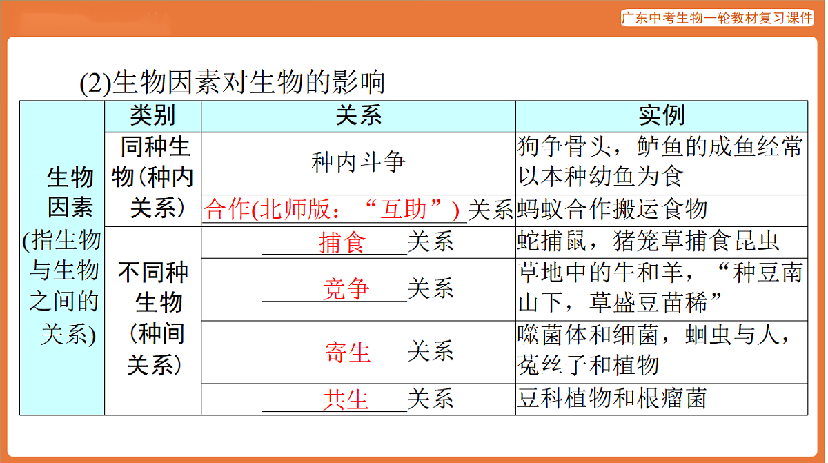 第一部分 主题三 第7讲 生态系统与生态安全-课件 2026年广东中考生物一轮复习(含答案解析）第7页