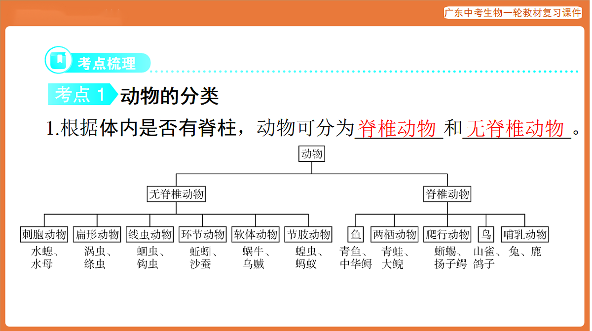 第一部分 主题二 第4讲 动物的类群-课件 2026年广东中考生物一轮复习(含答案解析）第3页