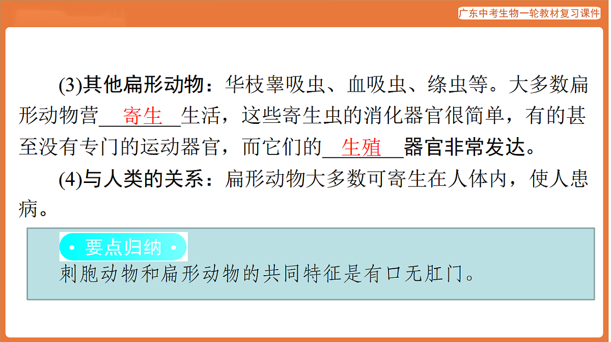 第一部分 主题二 第4讲 动物的类群-课件 2026年广东中考生物一轮复习(含答案解析）第7页