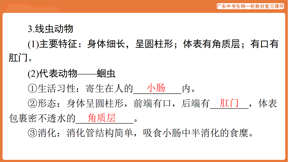 第一部分 主题二 第4讲 动物的类群-课件 2026年广东中考生物一轮复习(含答案解析）第8页