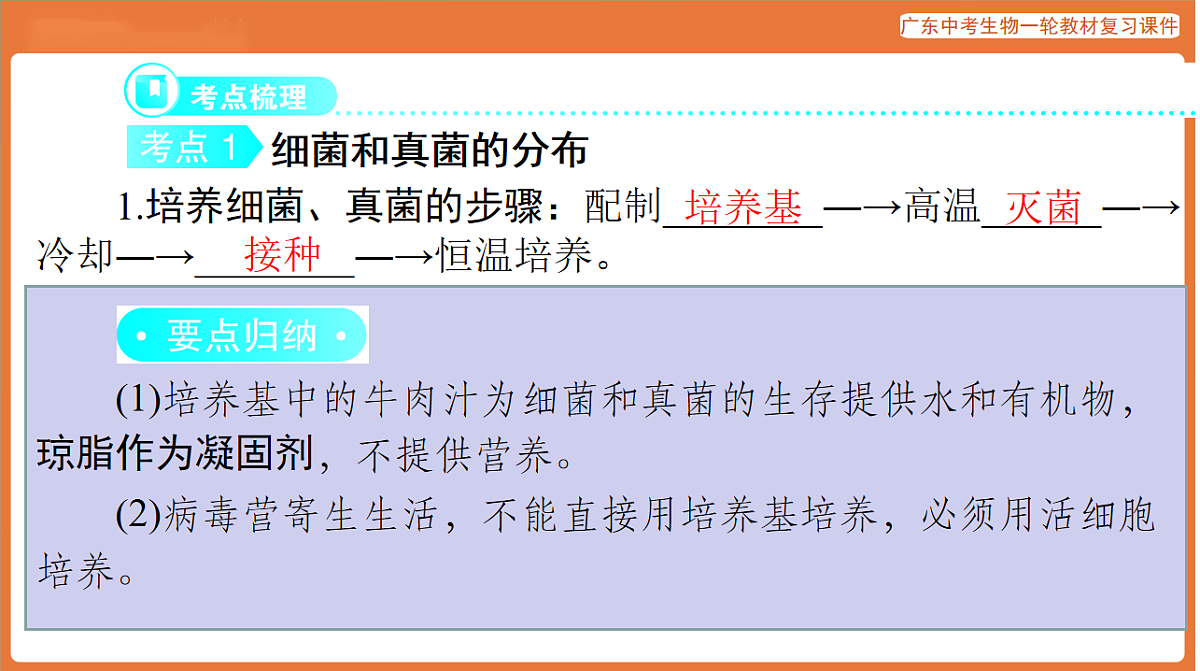 第一部分 主题二 第5讲 微生物-课件 2026年广东中考生物一轮复习(含答案解析）第3页