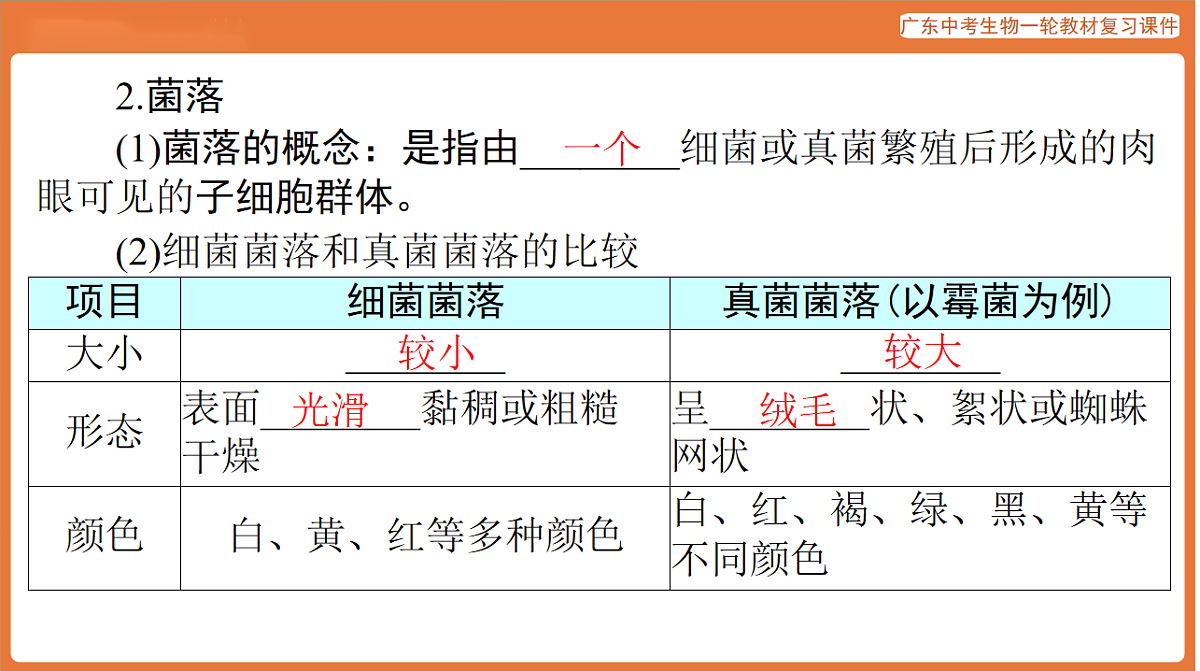 第一部分 主题二 第5讲 微生物-课件 2026年广东中考生物一轮复习(含答案解析）第4页