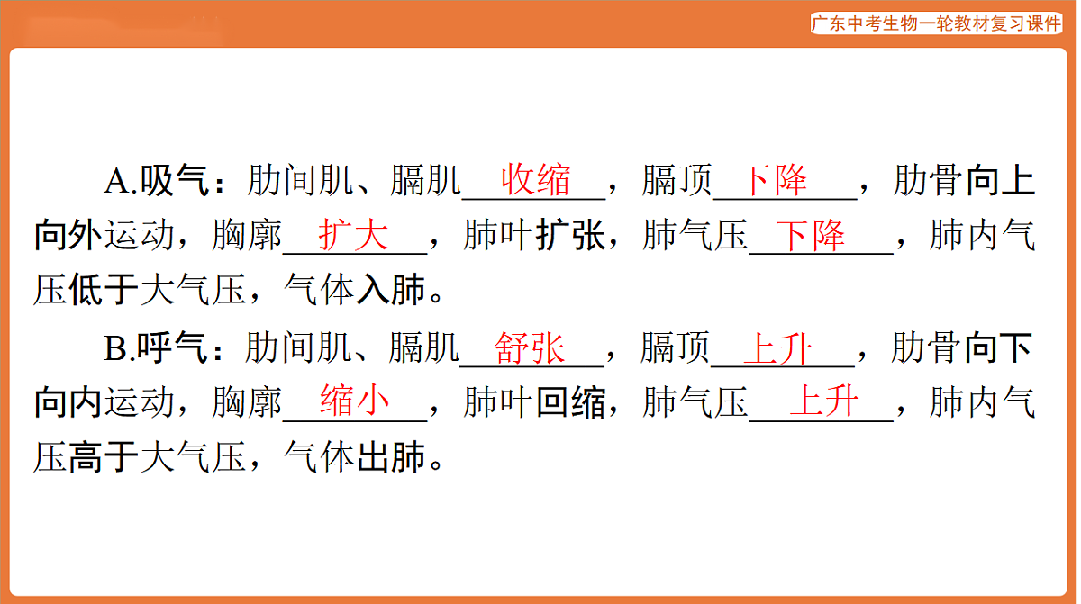 第一部分 主题五 第12讲 人体的呼吸-课件 2026年广东中考生物一轮复习(含答案解析）第8页