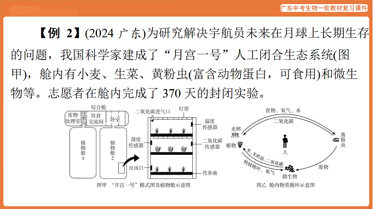 第二部分 专题五 作图题-课件 2026年广东中考生物一轮复习(含答案解析）第6页