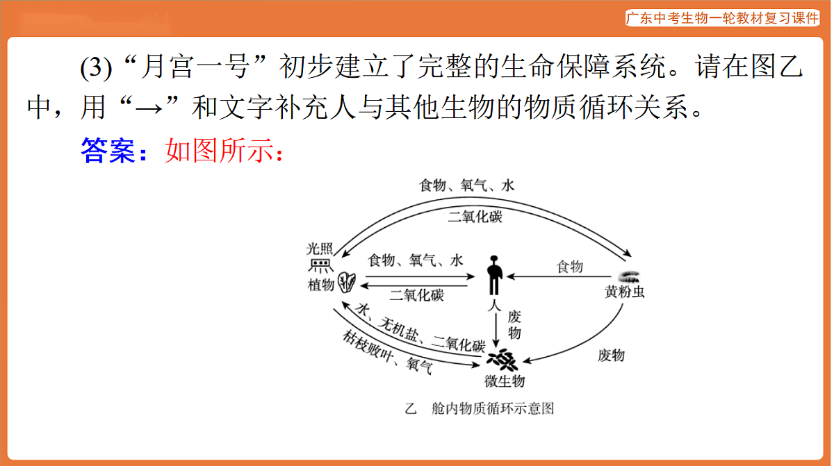第二部分 专题五 作图题-课件 2026年广东中考生物一轮复习(含答案解析）第8页