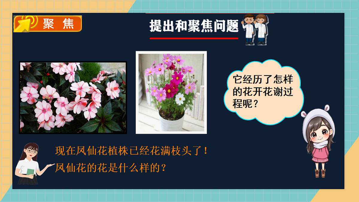 教科版年级下册科学1.5《凤仙花开花了》课件第2页