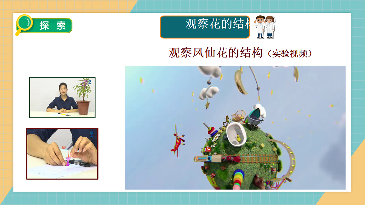 教科版年级下册科学1.5《凤仙花开花了》课件第5页