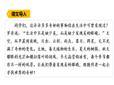 2026年统编版语文三下 24我们奇妙的世界（课件）