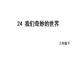 2026年统编版语文三下 24我们奇妙的世界（课件）