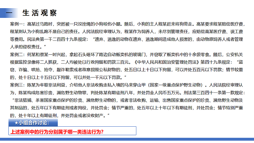 2025春人教版道德与法治七年级下册11.1《法不可违》课件（教学课件）第8页