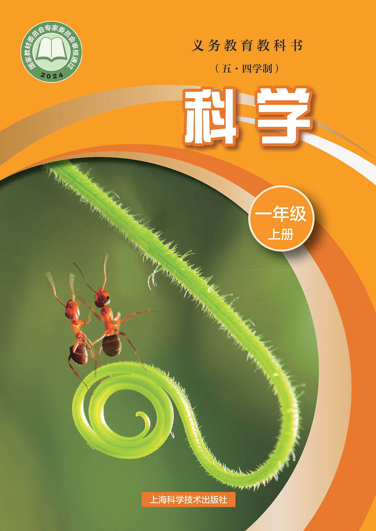 17826219第1页