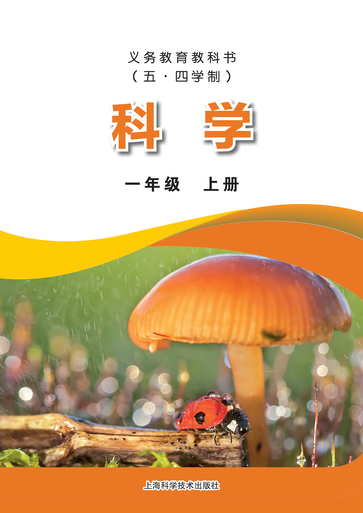 17826219第2页