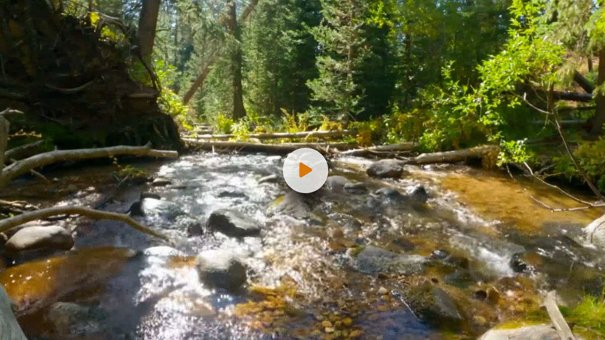 我不是最弱小的（第1课时）第3页