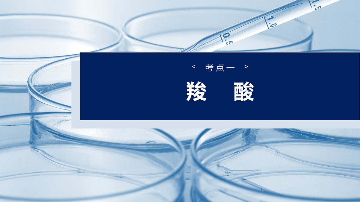 2026高三化学（人教版）一轮复习课件　第十四章　第65讲　羧酸　羧酸衍生物第4页