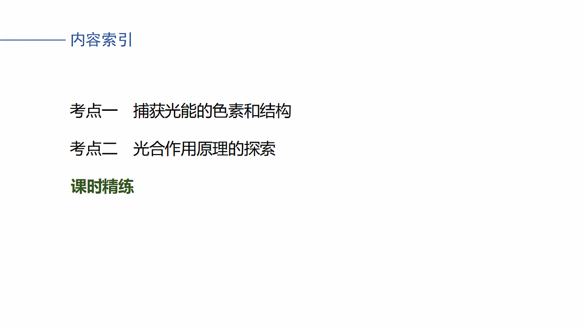 高考生物一轮复习课件-捕获光能的色素和结构及光合作用原理的探索第3页