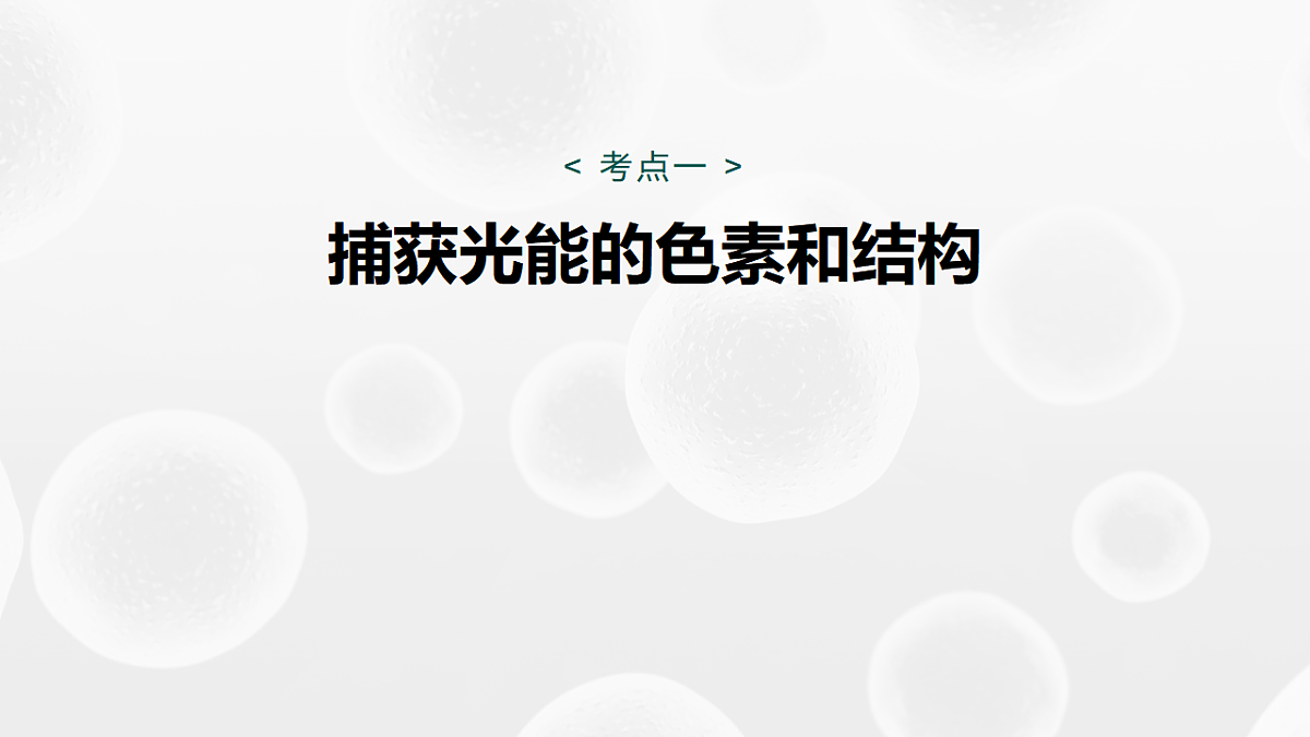 高考生物一轮复习课件-捕获光能的色素和结构及光合作用原理的探索第4页