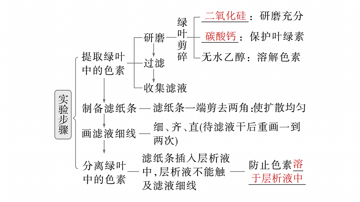 高考生物一轮复习课件-捕获光能的色素和结构及光合作用原理的探索第6页