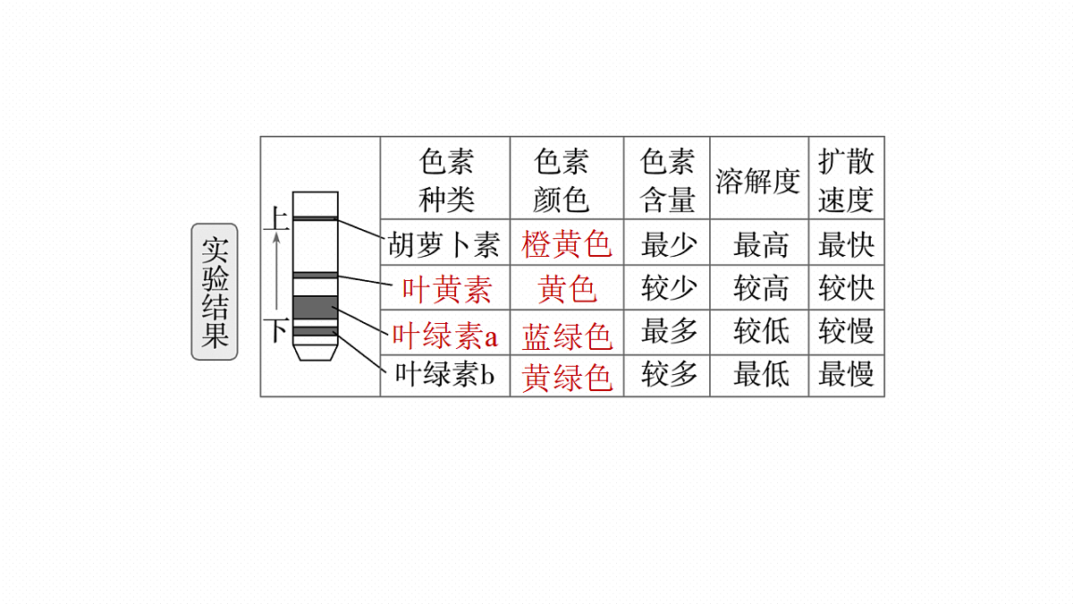 高考生物一轮复习课件-捕获光能的色素和结构及光合作用原理的探索第7页