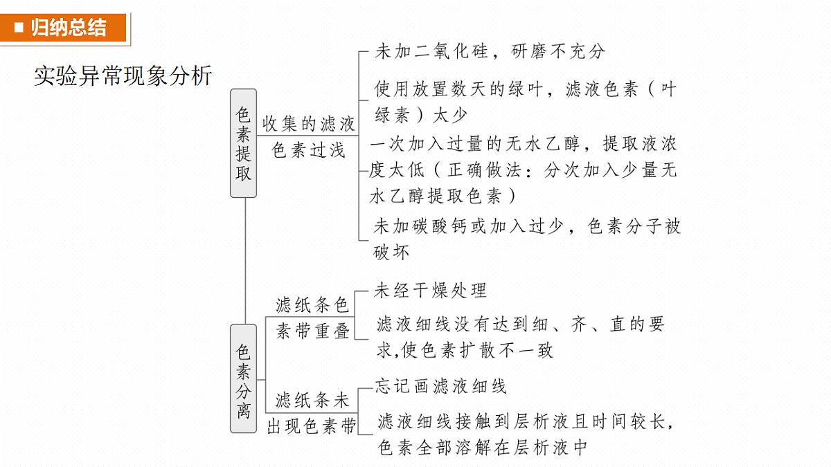 高考生物一轮复习课件-捕获光能的色素和结构及光合作用原理的探索第8页