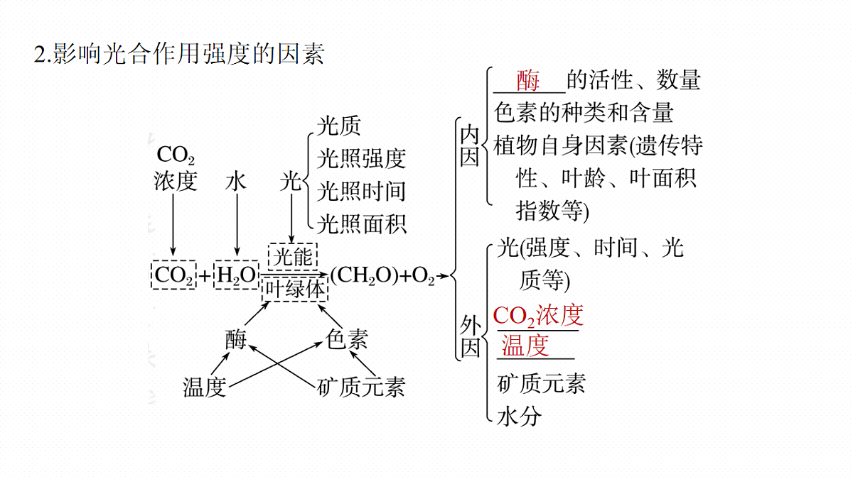高考生物一轮复习课件-光合作用的影响因素及其应用第6页